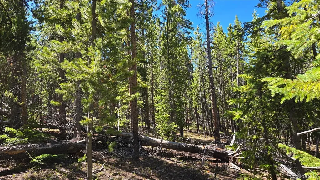 000 Summit Gulch Road Breckenridge CO 80424