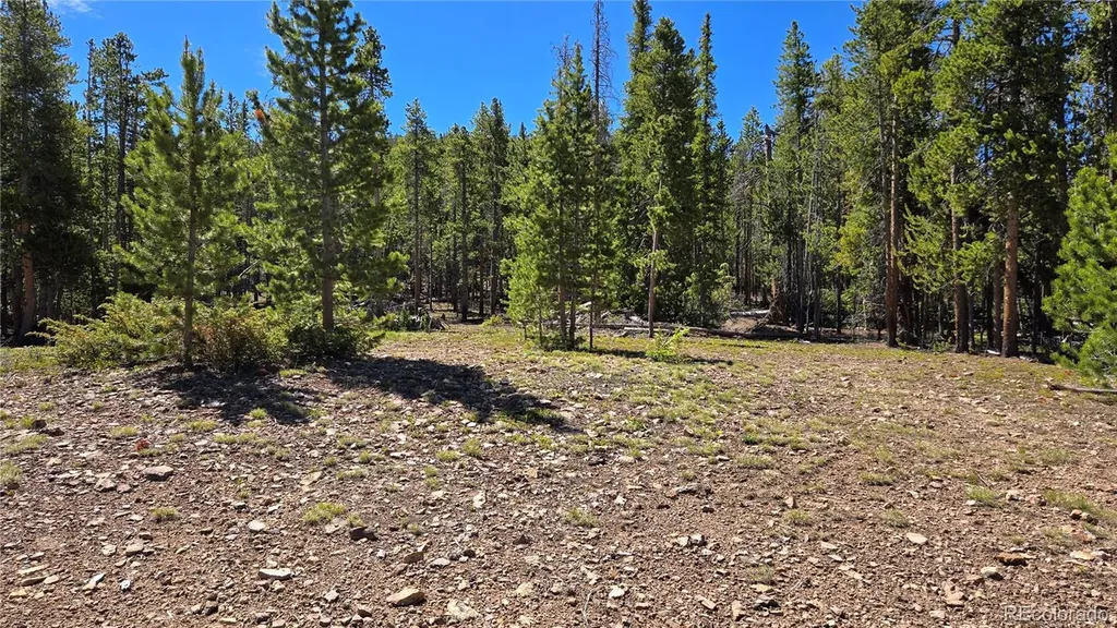 000 Summit Gulch Road Breckenridge CO 80424