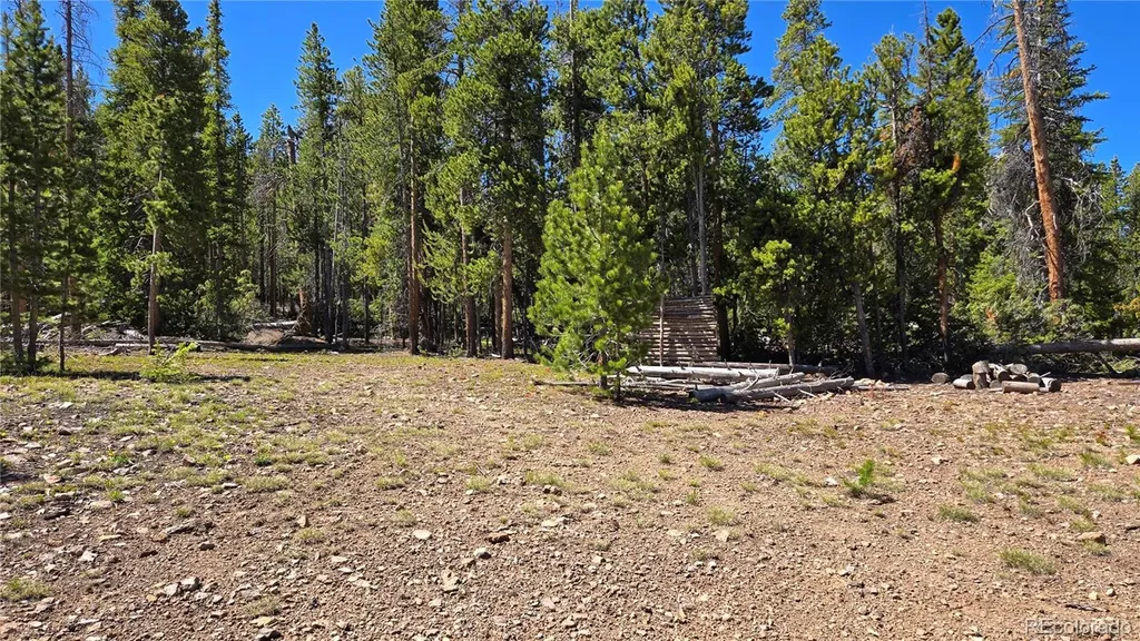 000 Summit Gulch Road Breckenridge CO 80424