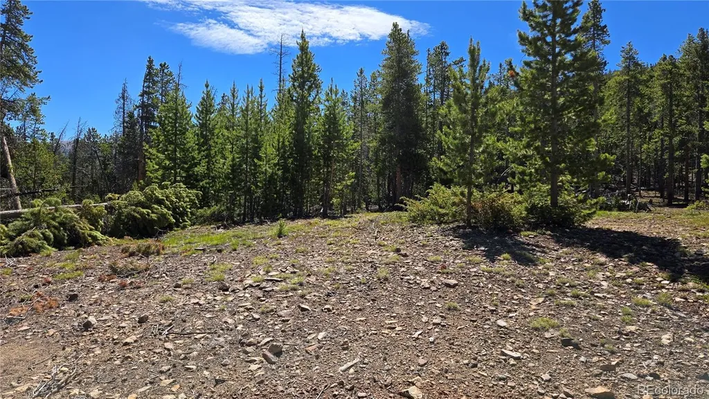 000 Summit Gulch Road Breckenridge CO 80424