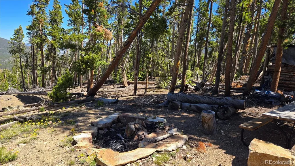 000 Summit Gulch Road Breckenridge CO 80424
