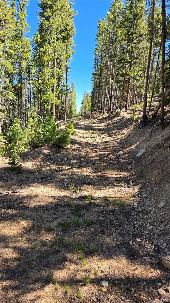 000 Summit Gulch Road Breckenridge CO 80424