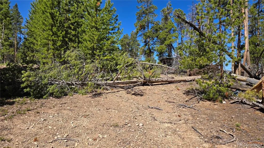 000 Summit Gulch Road Breckenridge CO 80424