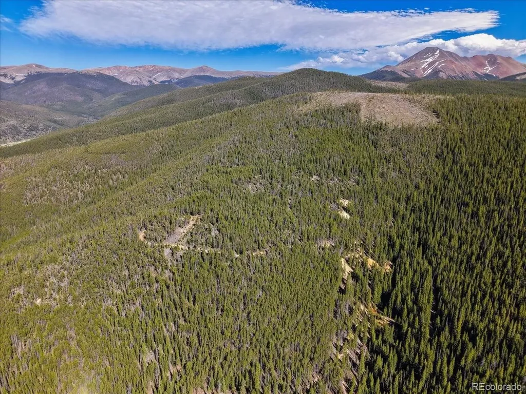 000 Summit Gulch Road Breckenridge CO 80424