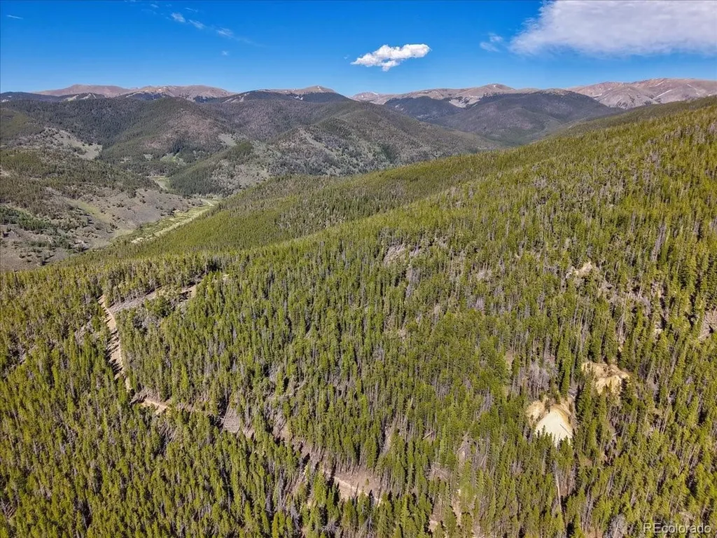 000 Summit Gulch Road Breckenridge CO 80424
