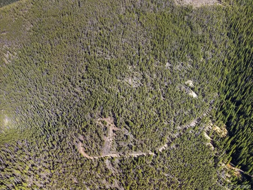 000 Summit Gulch Road Breckenridge CO 80424