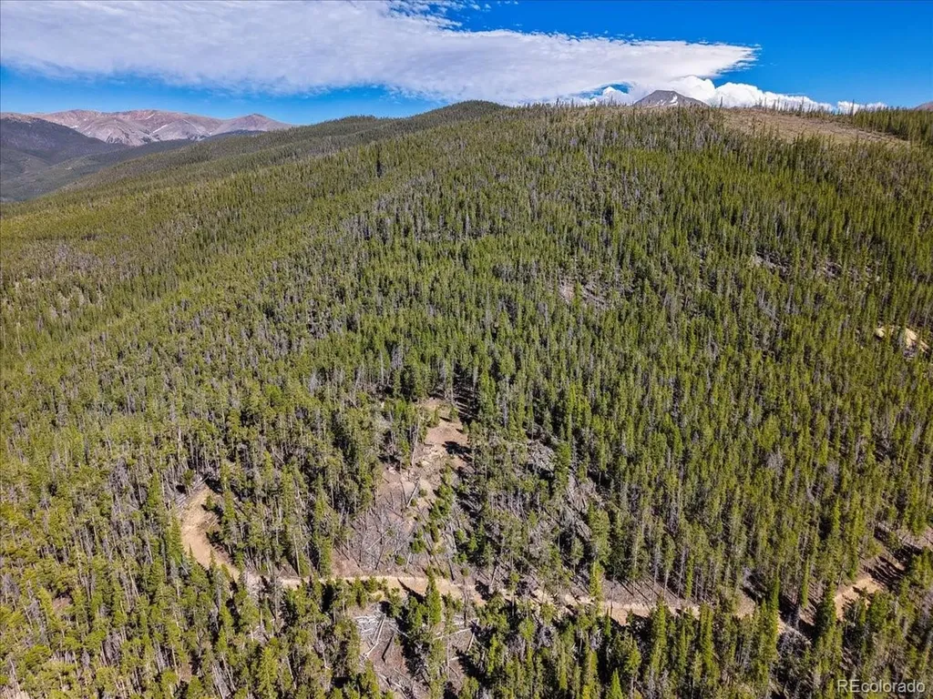 000 Summit Gulch Road Breckenridge CO 80424