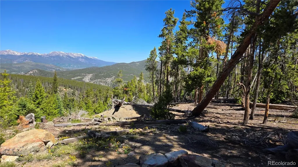 000 Summit Gulch Road Breckenridge CO 80424