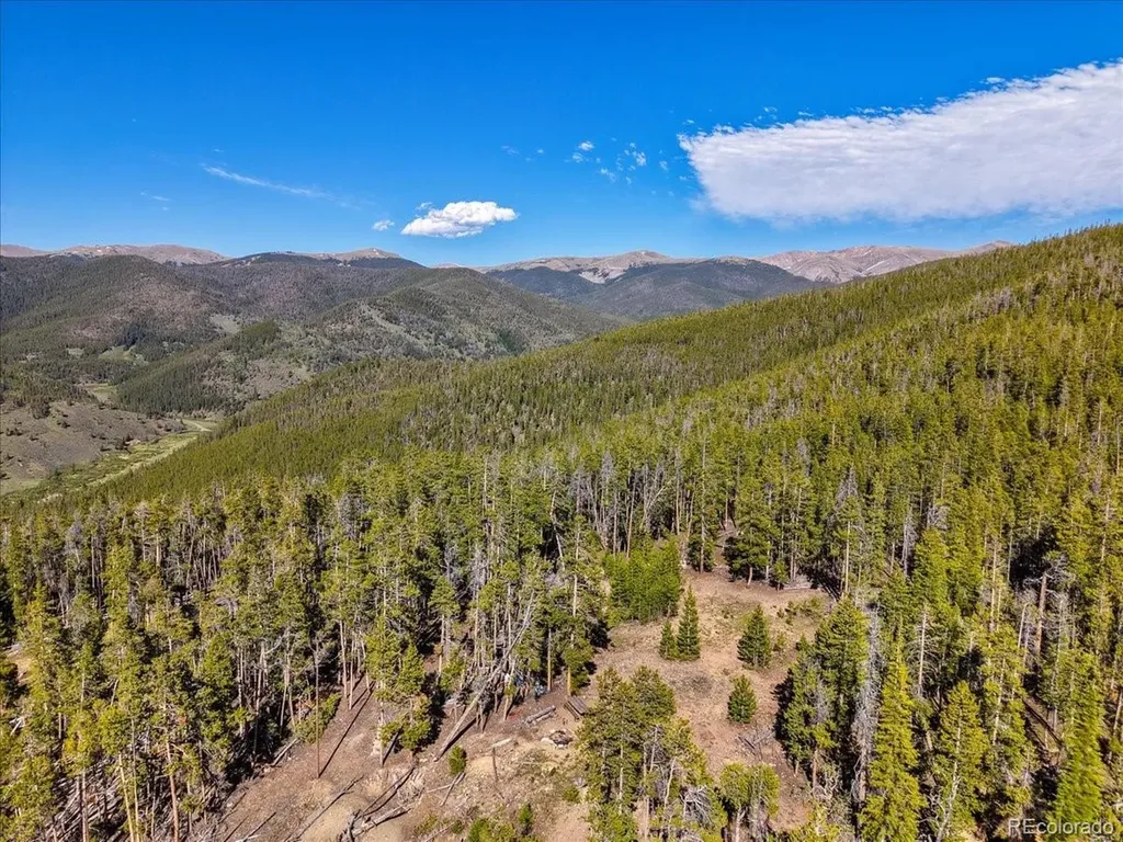 000 Summit Gulch Road Breckenridge CO 80424