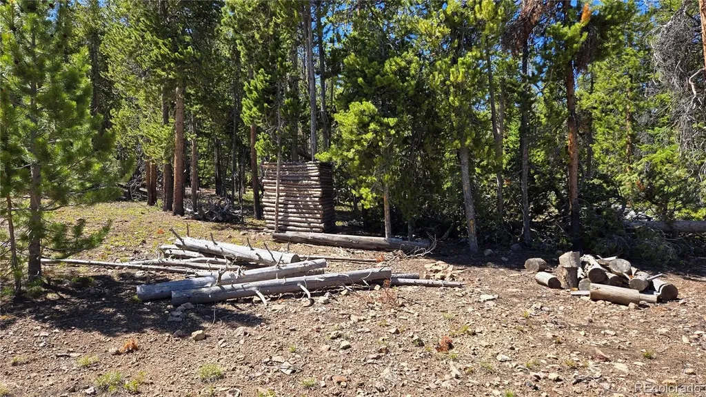 000 Summit Gulch Road Breckenridge CO 80424