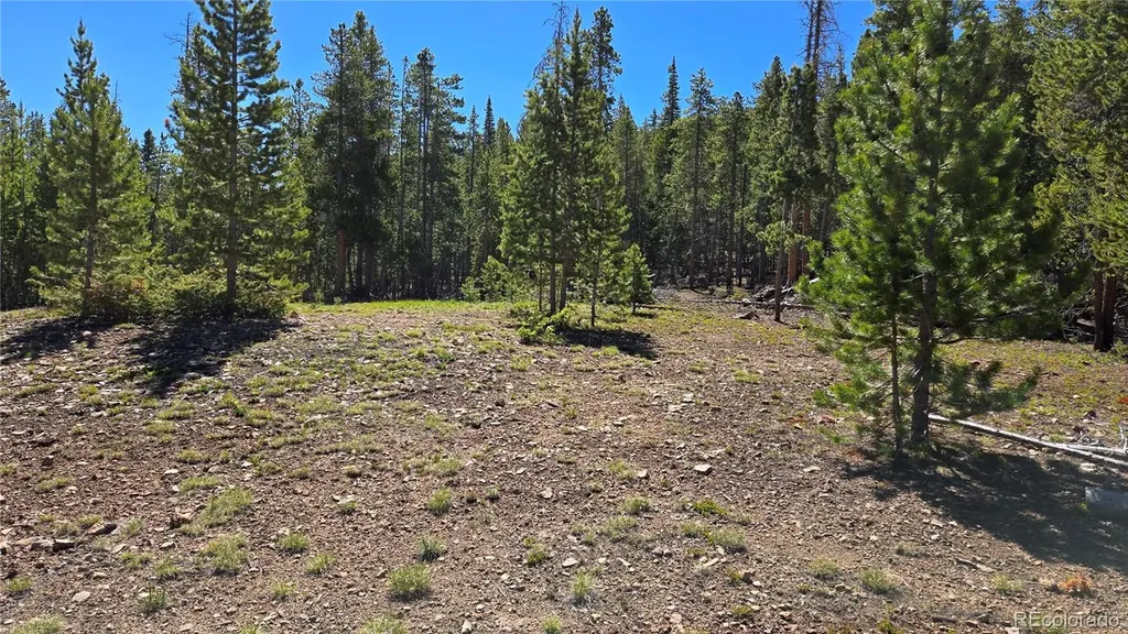 000 Summit Gulch Road Breckenridge CO 80424