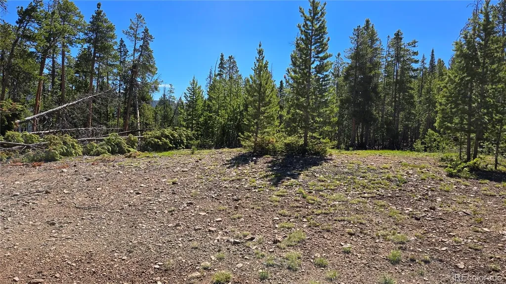000 Summit Gulch Road Breckenridge CO 80424