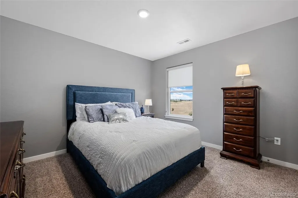 13914 Scarlet Sage Lane Parker CO 80134
