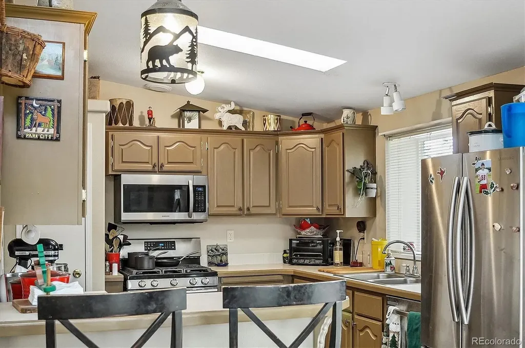 201 Larissa Lane Buena Vista CO 81211