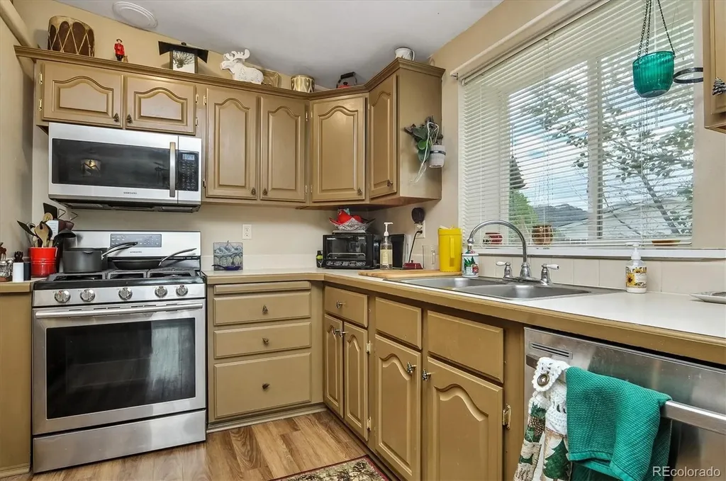 201 Larissa Lane Buena Vista CO 81211