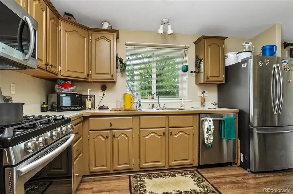 201 Larissa Lane Buena Vista CO 81211