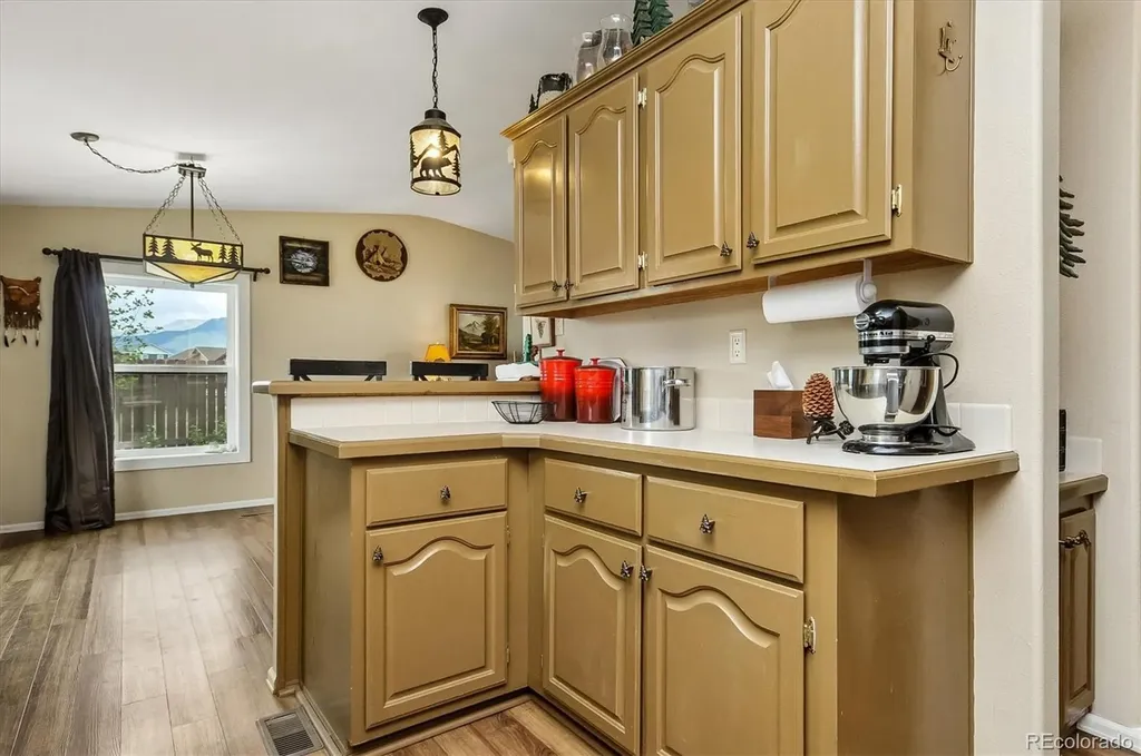 201 Larissa Lane Buena Vista CO 81211