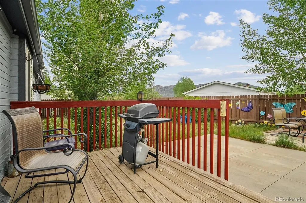 201 Larissa Lane Buena Vista CO 81211