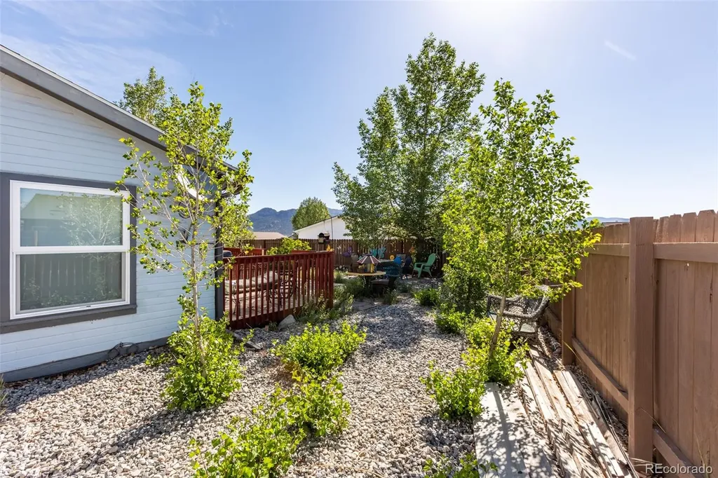 201 Larissa Lane Buena Vista CO 81211
