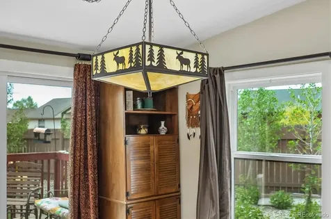 201 Larissa Lane Buena Vista CO 81211