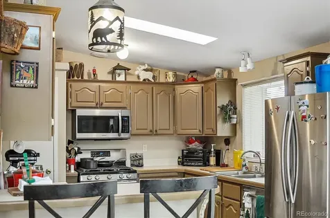 201 Larissa Lane Buena Vista CO 81211