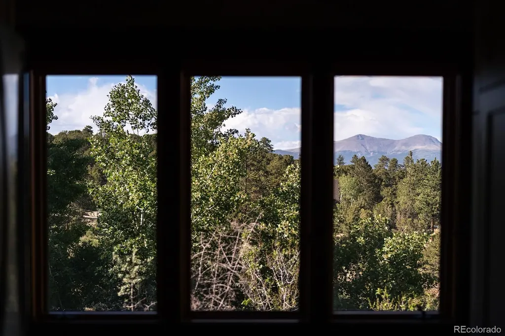 18390 Camino Del Norte Buena Vista CO 81211
