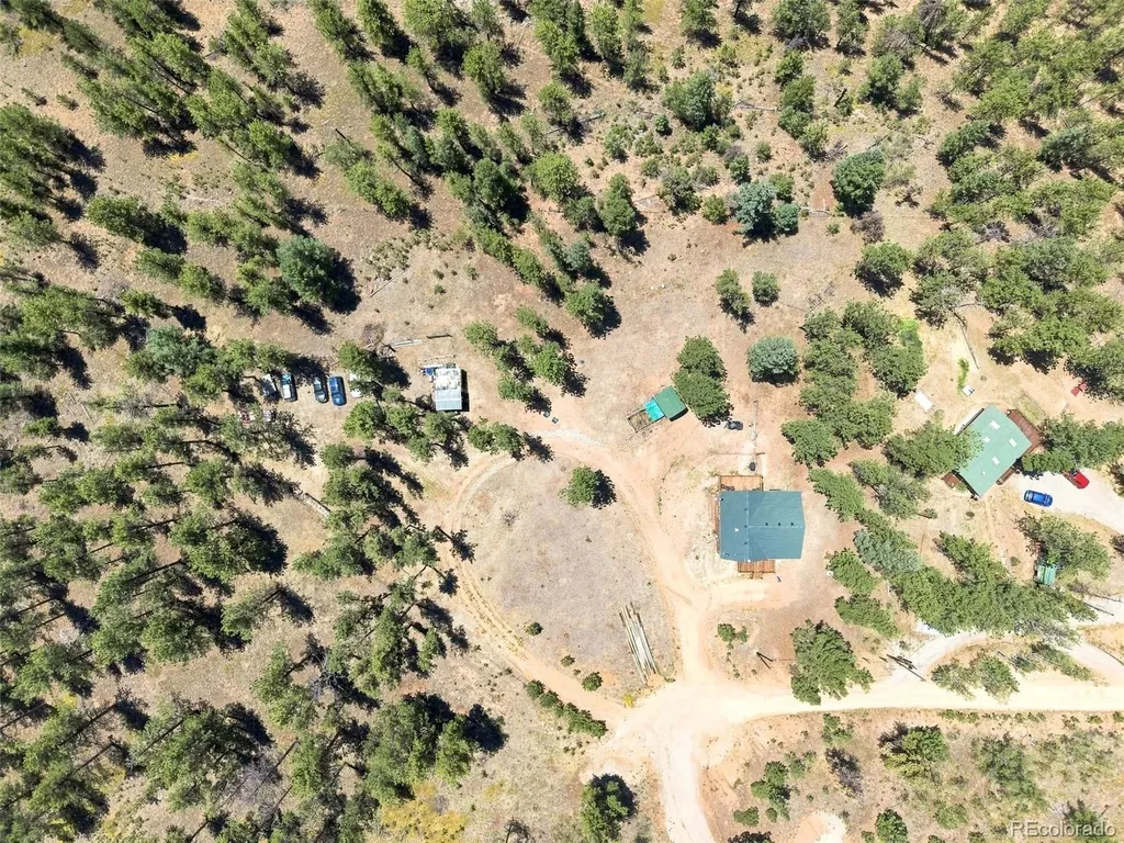 278 Hayes Street Bailey CO 80421