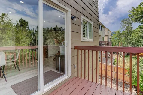 9576 High Cliffe Street Littleton CO 80129