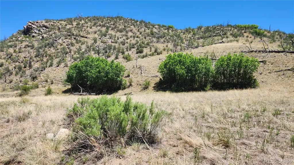 Tbd L 35th Trail Cotopaxi CO 81223