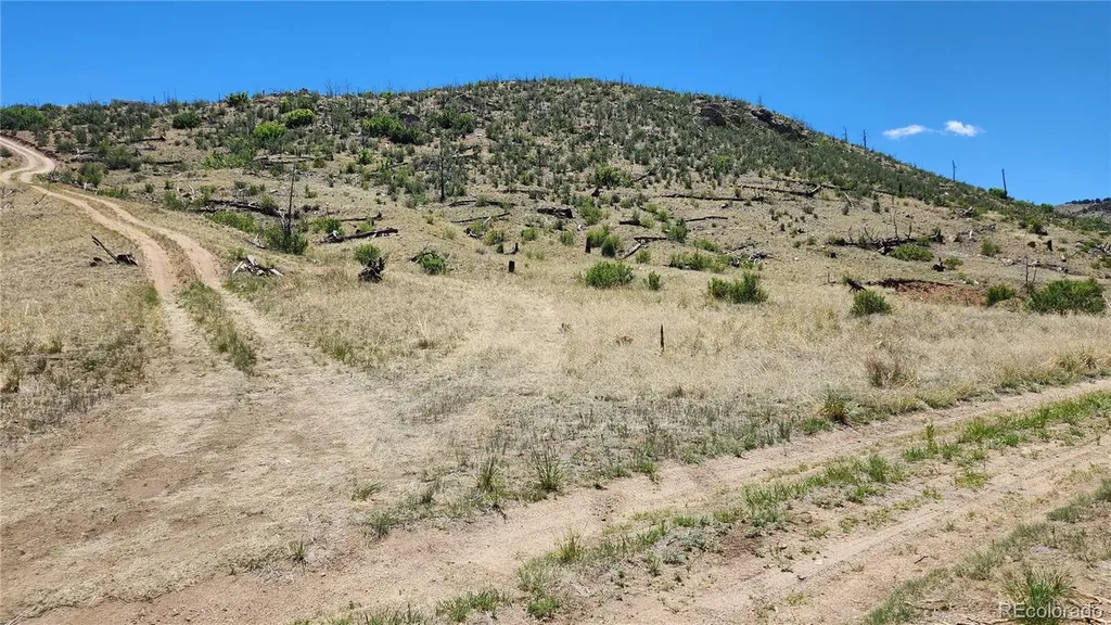 Tbd L 35th Trail Cotopaxi CO 81223