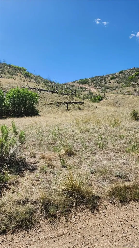 Tbd L 35th Trail Cotopaxi CO 81223