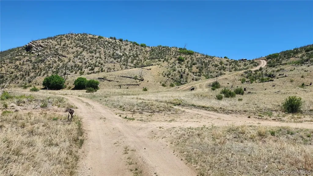 Tbd L 35th Trail Cotopaxi CO 81223