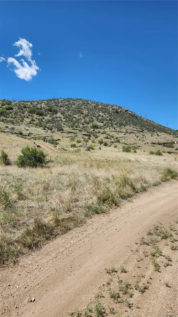 Tbd L 35th Trail Cotopaxi CO 81223