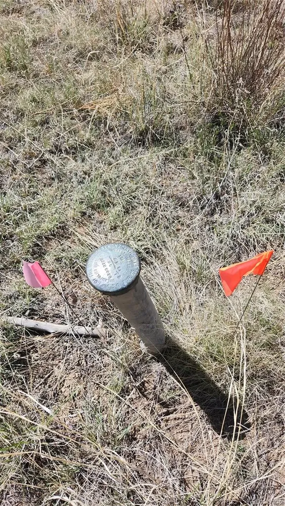 Tbd L 35th Trail Cotopaxi CO 81223