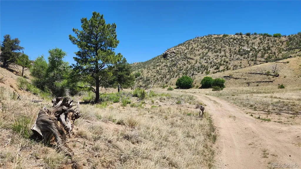Tbd L 35th Trail Cotopaxi CO 81223