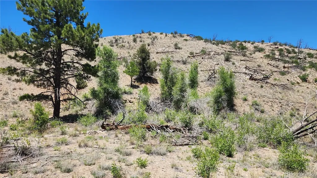 Tbd L 35th Trail Cotopaxi CO 81223