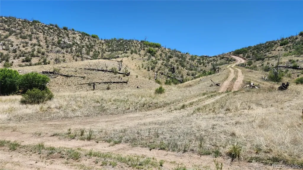 Tbd L 35th Trail Cotopaxi CO 81223
