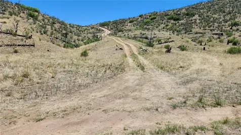 Tbd L 35th Trail Cotopaxi CO 81223