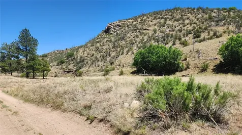 Tbd L 35th Trail Cotopaxi CO 81223