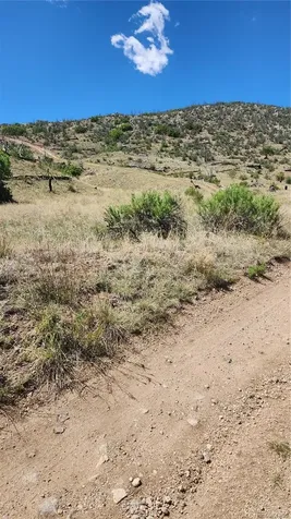 Tbd L 35th Trail Cotopaxi CO 81223
