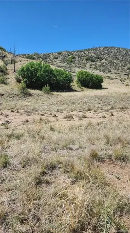 Tbd L 35th Trail Cotopaxi CO 81223