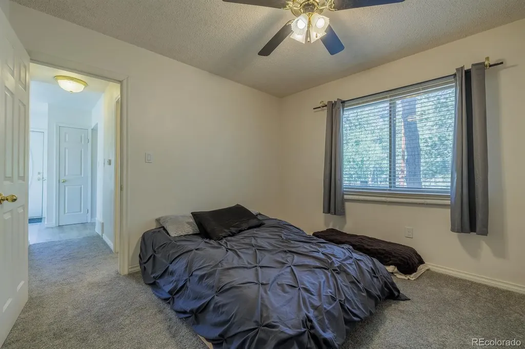 419 W Lake Drive Divide CO 80814