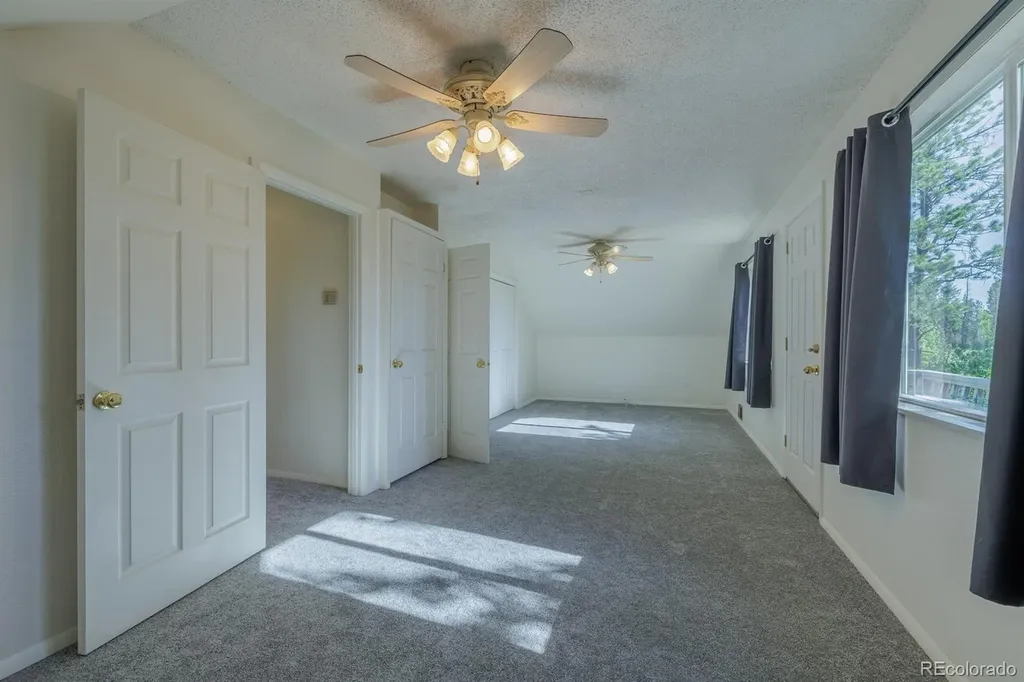 419 W Lake Drive Divide CO 80814
