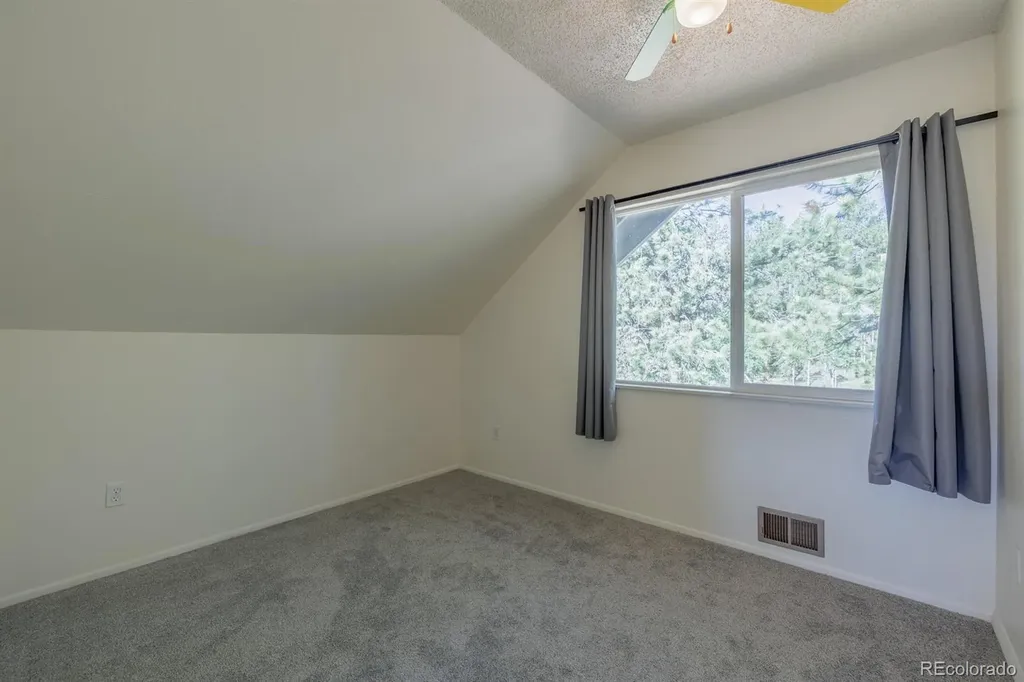419 W Lake Drive Divide CO 80814