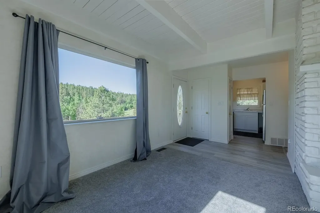 419 W Lake Drive Divide CO 80814