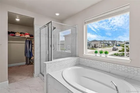 3860 Sandy Vista Lane Castle Rock CO 80104