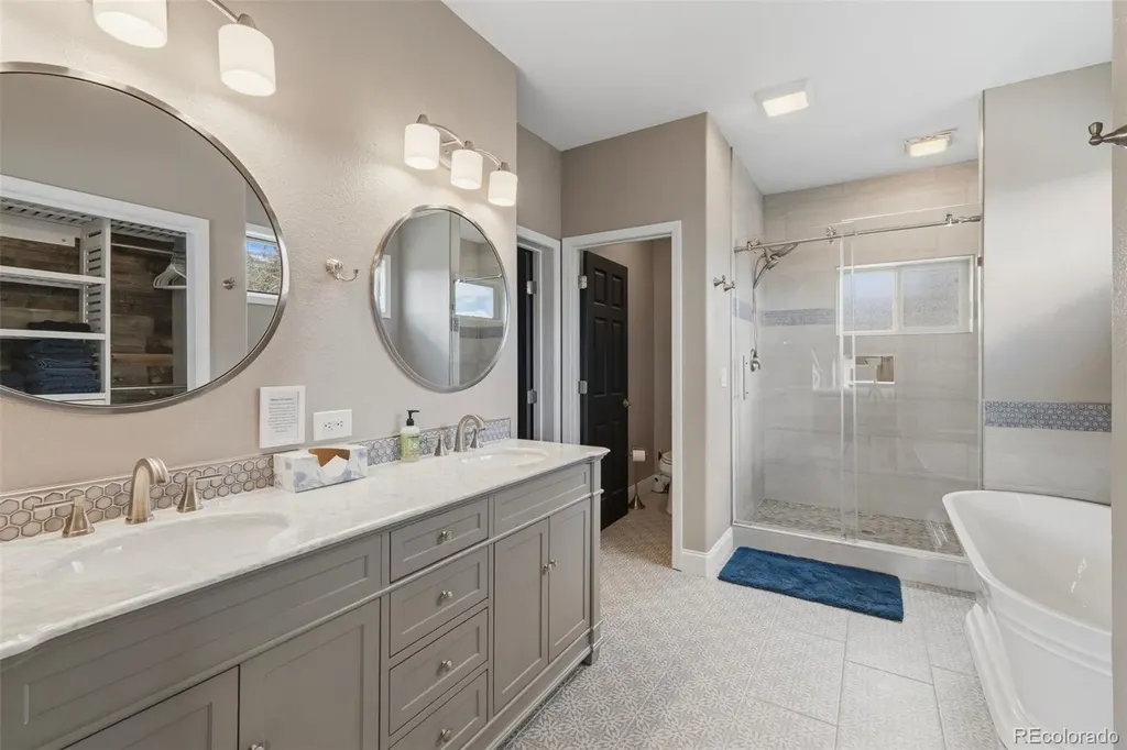 245 E Coyote Court Silverthorne CO 80498