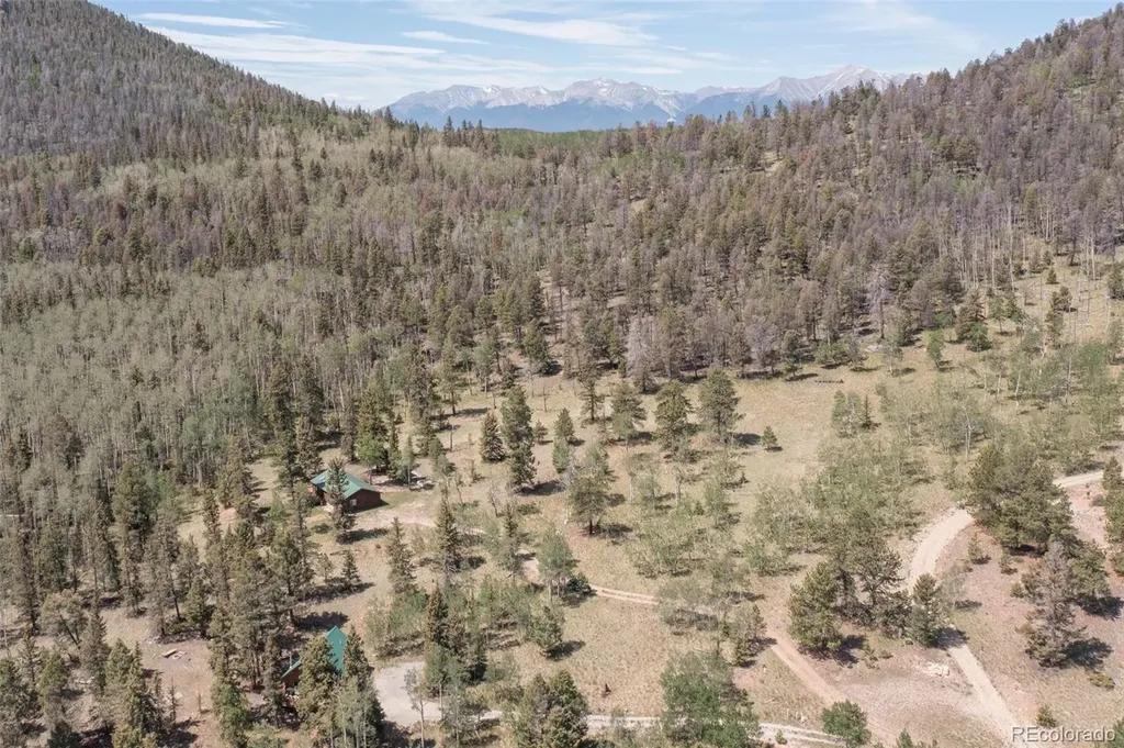 115 Mushroom Court Buena Vista CO 81211