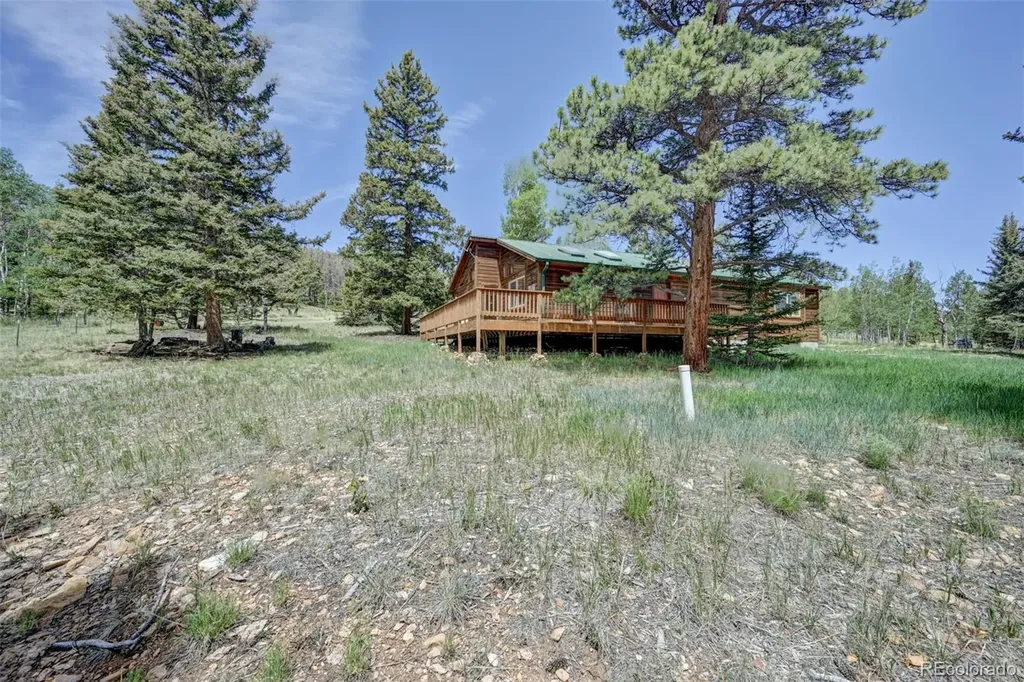 115 Mushroom Court Buena Vista CO 81211