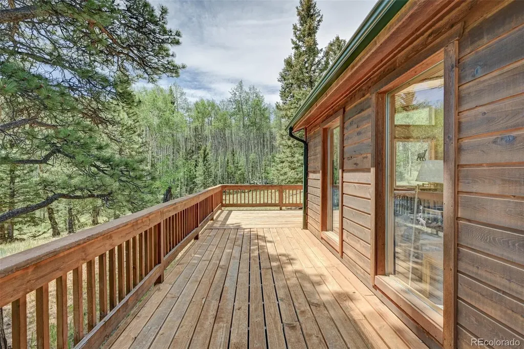 115 Mushroom Court Buena Vista CO 81211